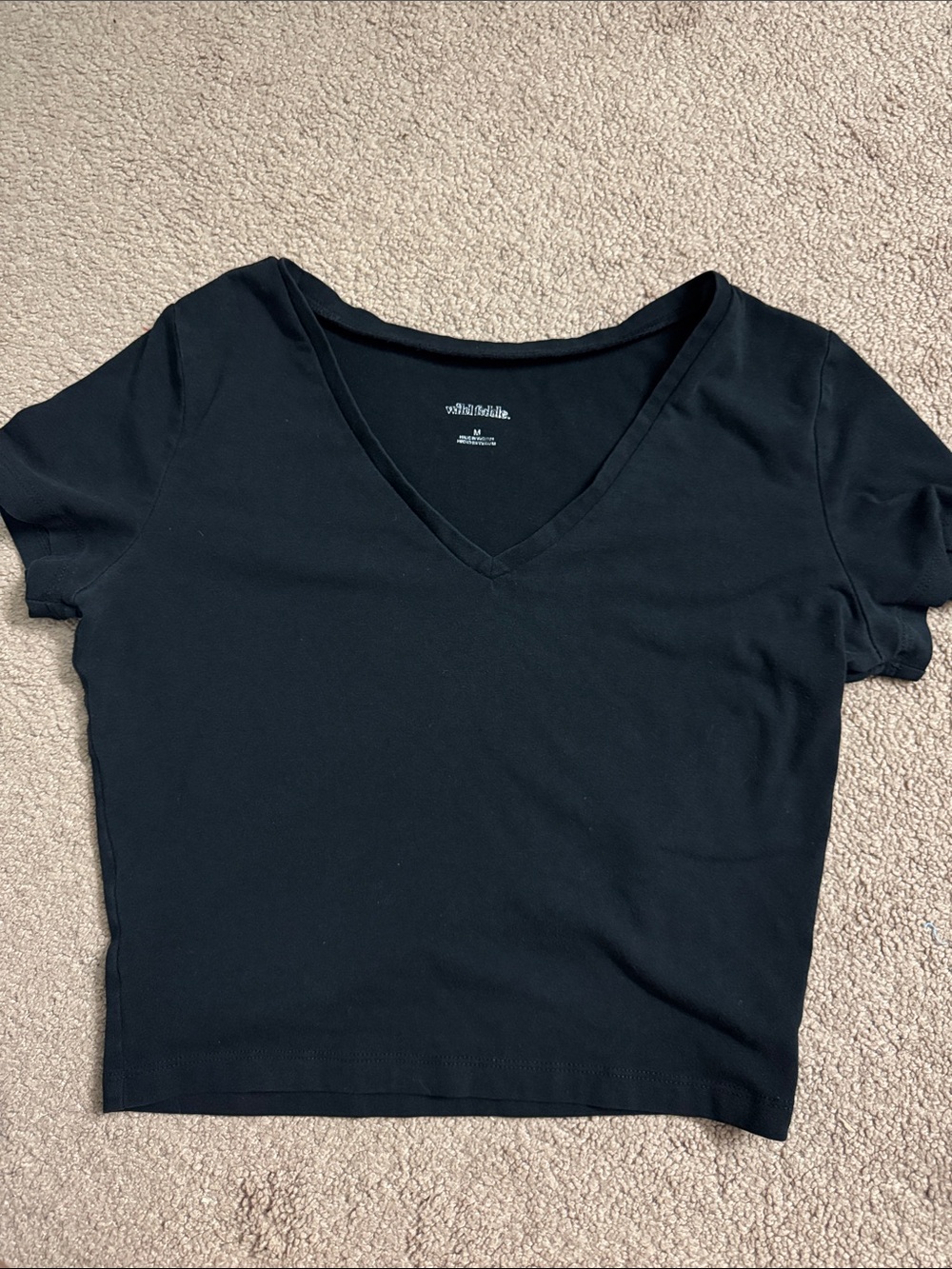 wild fable Black V-Neck Crop Tee